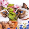 Two Adorable Siamese Cats paint by numbers