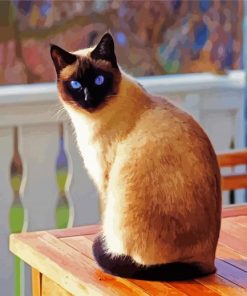 Siamese Kitten paint by numbers
