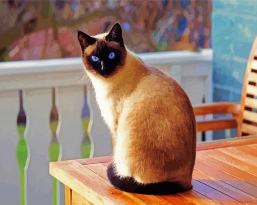 Siamese Kitten paint by numbers