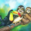 Sloth With Toucan And Owl Animals painnt by numbers