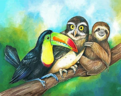 Sloth With Toucan And Owl Animals painnt by numbers