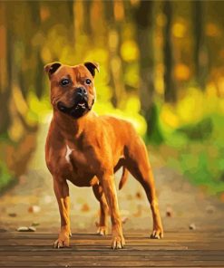 Staffordshire Bull Terrier Dog paint by numbers