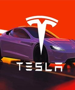 Tesla Car paint by number