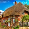 Thatched Cottage House paint by numbers