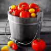 Tomatoes Food In A Bucket Art paint by numbers