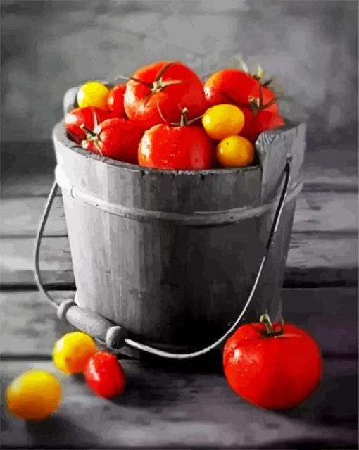Tomatoes Food In A Bucket Art paint by numbers