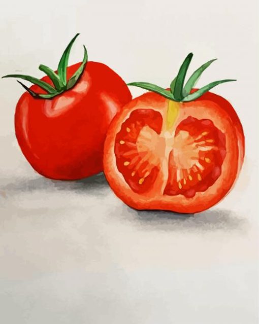 Tomatoes Food Art paint by numbers