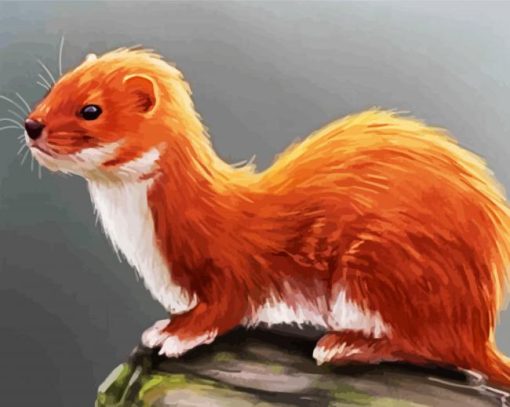 Weasel Animal paint by numbers