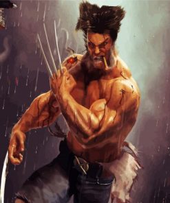 Wolverine Old Man paint by numbers
