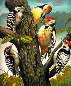 Woodpeckers Family Picoides paint by number
