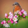 Wren Bird On Flowers paint by number