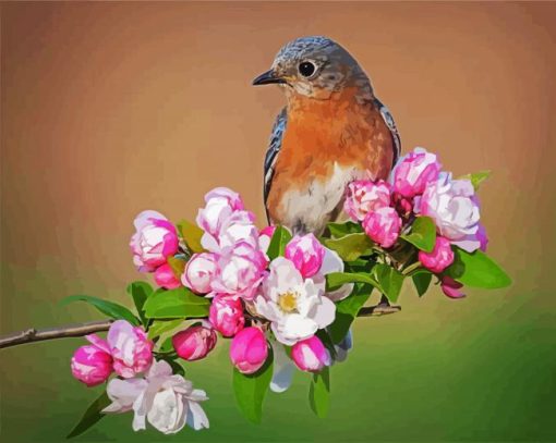 Wren Bird On Flowers paint by number