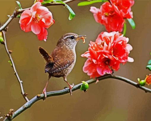 Wren On Flowers paint by number