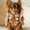 Adorable Chihuahua paint by number