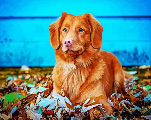 Adorable Toller Animal paint by numbers