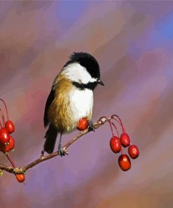 Aesthetic Chickadee Bird paint by number