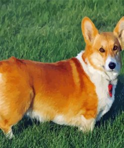 Adorable Corgis Dog paint by numbers