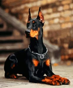 Aesthetic Doberman Dog paint by numbers