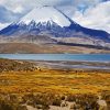 Aesthetic Lauca National Park paint by number