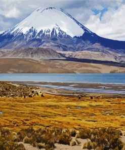Aesthetic Lauca National Park paint by number