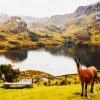Aesthetic Parque National Cajas Cueunca paint by numbers