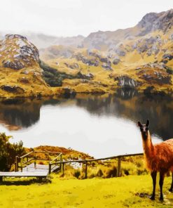 Aesthetic Parque National Cajas Cueunca paint by numbers