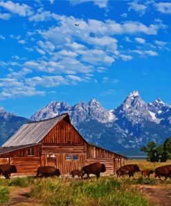 Teton Country Wyoming paint by numbers