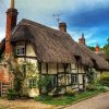Thatched Cottage Art paint by numbers