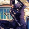 Aesthetic Catwoman Superhero paint by numbers