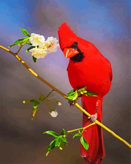 Aesthetic Red Cardinal Bird paint by numbers