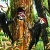 Woodpeckers paint by number