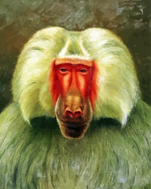 Baboon Animal Art paint by numbers