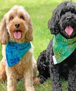 Two Cute Cavapoo Puppies paint by numbers