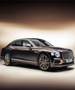 Bentley Fliying Spur 2021 Hybrid paint by numbers