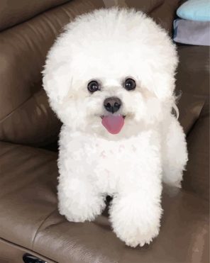Aesthetic White Bichon Puppy paint by numbers