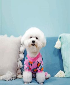 Aesthetic Cute Bichon Puppy paint by numbers
