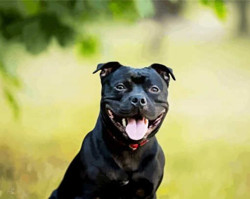 Black Staffordshire Bull terrier Dogs paint by numbers