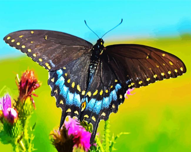 Black Swallowtail Butterfly paint by numbers