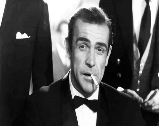 Aesthetic Black And White Sean Connery paint by numbers