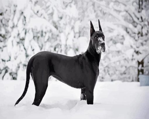 Black Great Dane paint by number