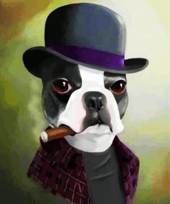 Classy Boston Terrier With Hat paint by numbers