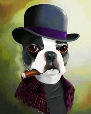 Classy Boston Terrier With Hat paint by numbers