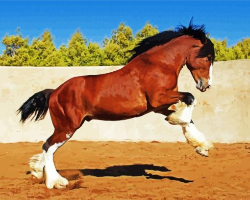 Brown Clydesdale Horses paint by numbers