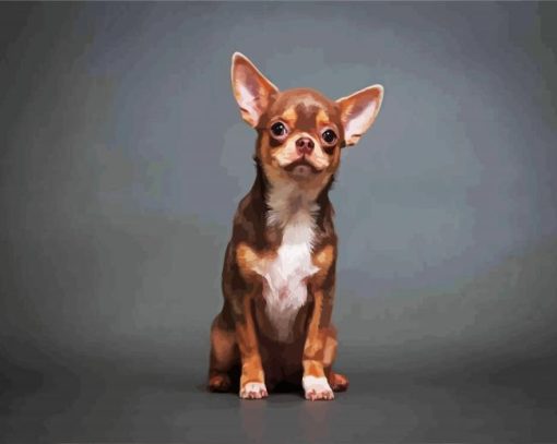 Chihuahua Puppy paint by number