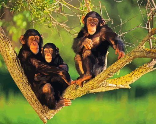 Chimpanzee Family paint by number