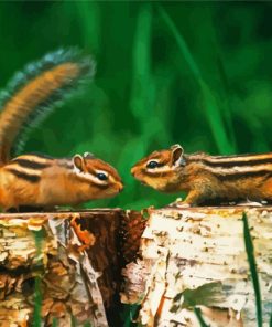 Chipmunks Animals paint by number