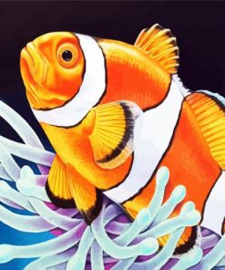 Orange Clownfish paint by numbers