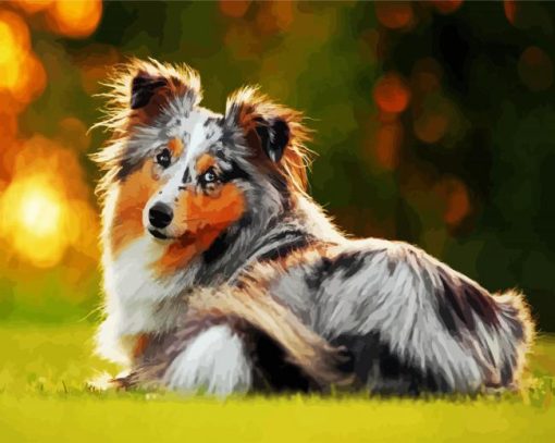Cute Collie Animal paint by numbers