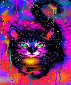 Colorful Cat paint by number