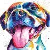 Colorful Pitbull paint by number
